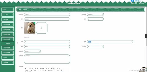 基于SpringBoot的動物保護協會管理系統設計與實現